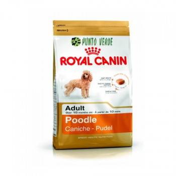 ROYAL CANIN POODLE KG 1,5
